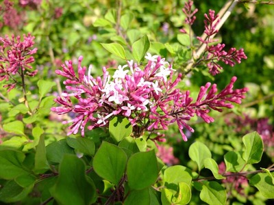DSCF5646_R