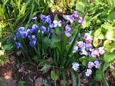 DSCF4597_R