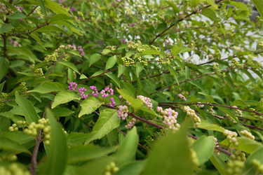 DSC09203_R