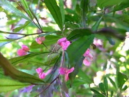 DSCF5949_R