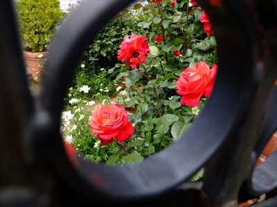 DSCF2772_R