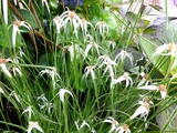 DSCF2547_R