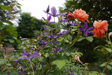 DSC08919_R