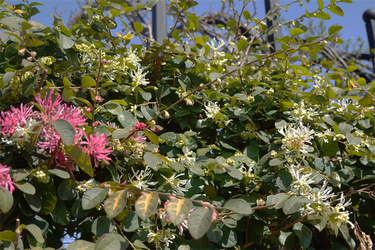 DSC05962_R