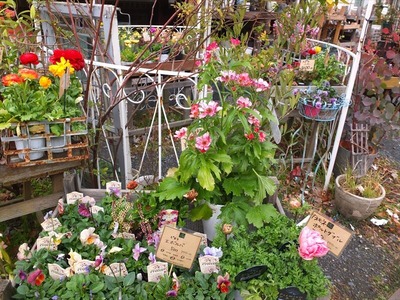 DSCF0841_R