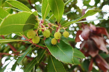 DSC06516_R