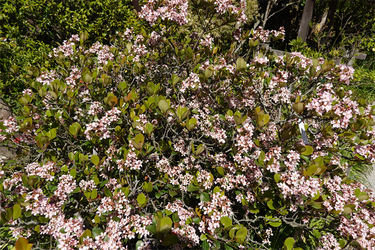 DSC05953_R
