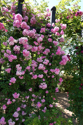 DSC07697_R
