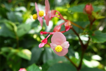 DSC09032_R