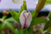 DSCF1013_R