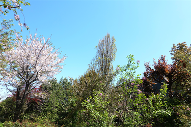 DSC06643_R