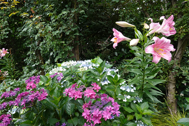 DSC08328_R