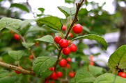 DSCF6035_R
