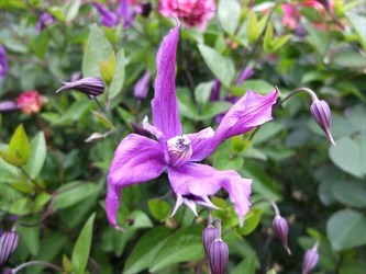 DSCF0353_R