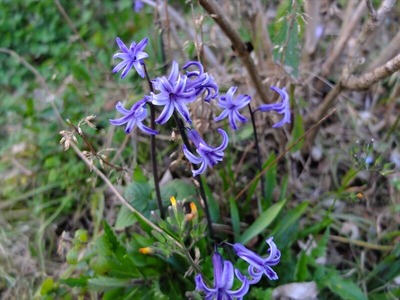 DSCF4748_R