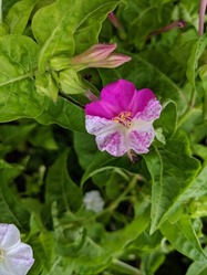 IMG_20190914_143413_1_R