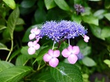 DSCF2686_R