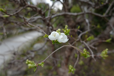 DSC05813_R