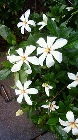 7f864e05.jpg