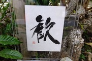 DSCF6897_R