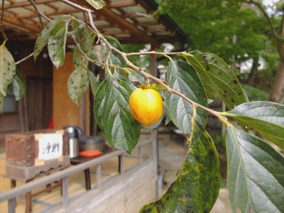 DSCF9046_R