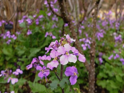 DSCF7498_R