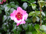 DSCF1015_R