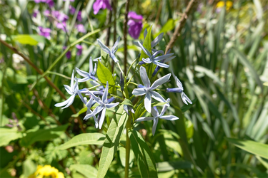 DSC06626_R