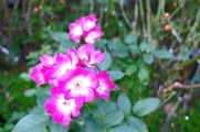 DSCF8003_R