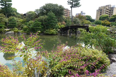 DSC09950_R