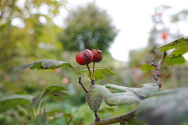 DSC08559_R