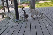 DSCF4172_R