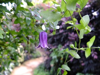 DSCF1277_R