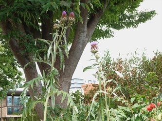 DSC01315_R