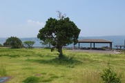 DSCF4196_R