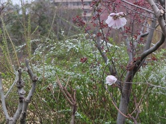 DSCF8644_R