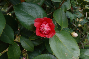 DSC06058_R