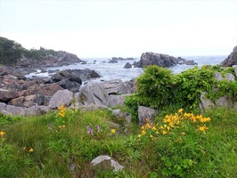 DSCF1106_R