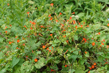 DSC08080_R