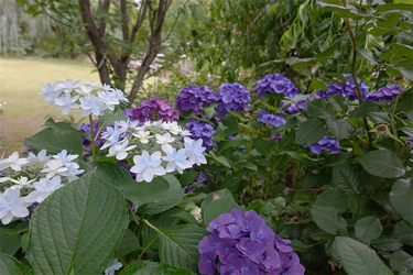 DSC08344_R