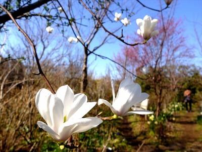 DSCF4553_R