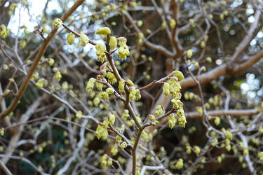 DSC00390_R