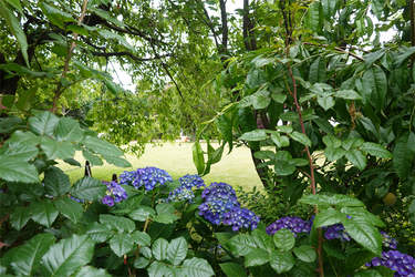 DSC08137_R