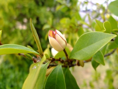 DSCF2394_R