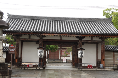 DSC09685_R