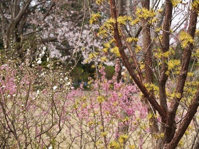 DSCF1665_R
