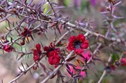 DSCF1827_R