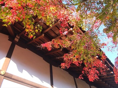 DSCF9543_R