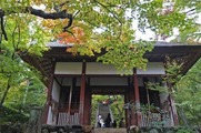 DSCF7535_R