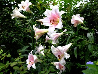 DSCF3426_R